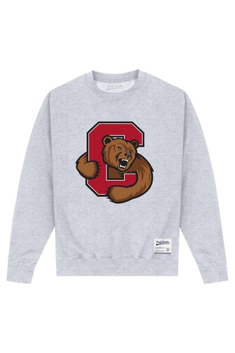 Bear Sweatshirt Marl Crew Neck Long Sleeve