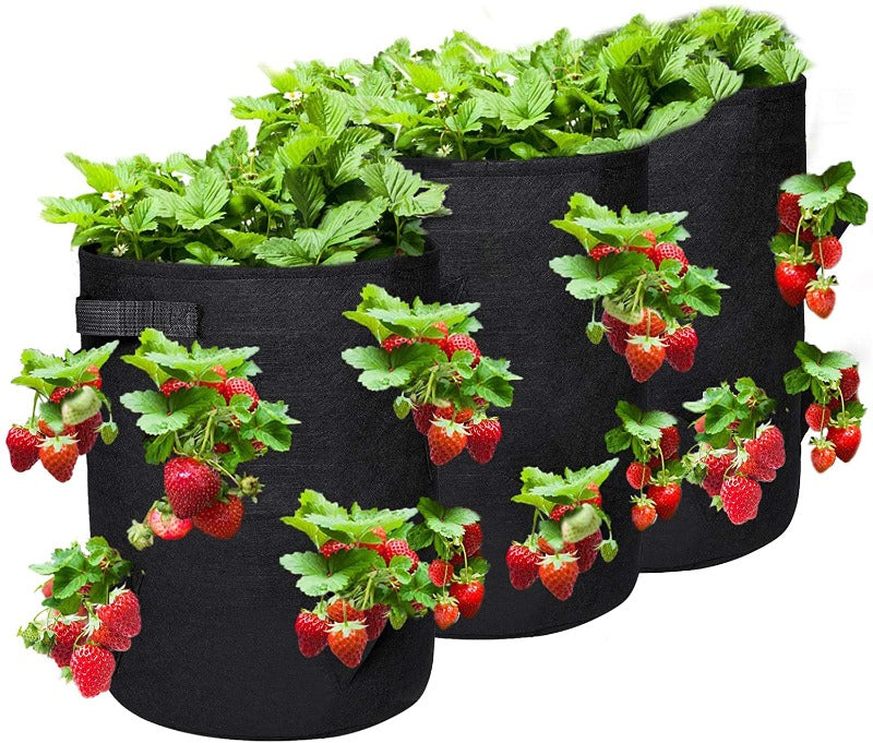 Strawberry Grow Bags