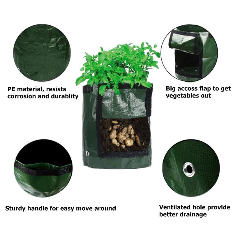 Vegetable Grow Bags