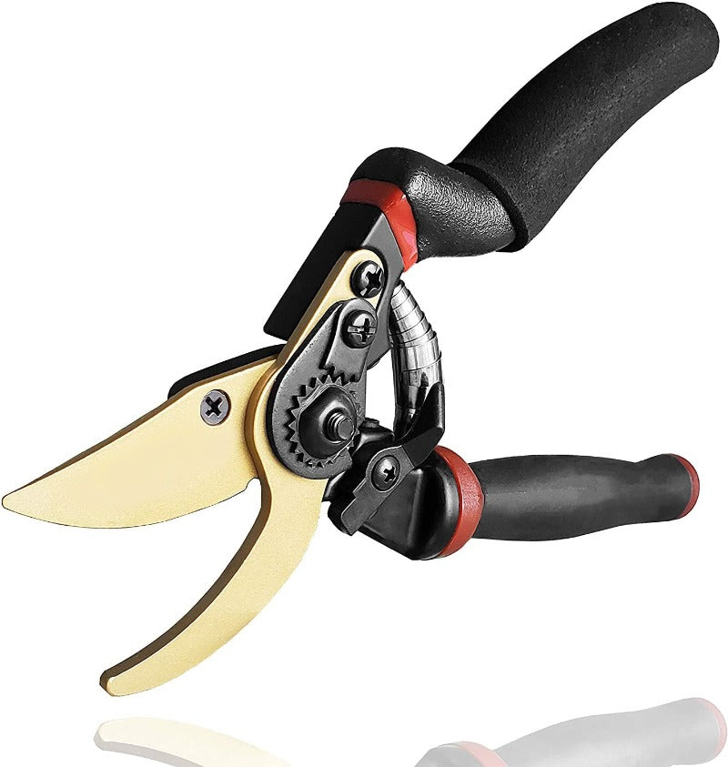 Premium Titanium Pruning Shears