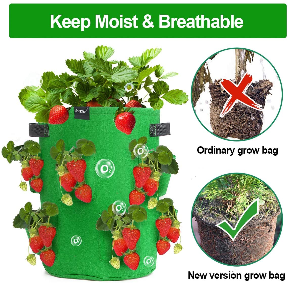 Strawberry Grow Bags