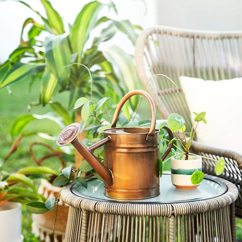 Galvanized Steel Watering Can