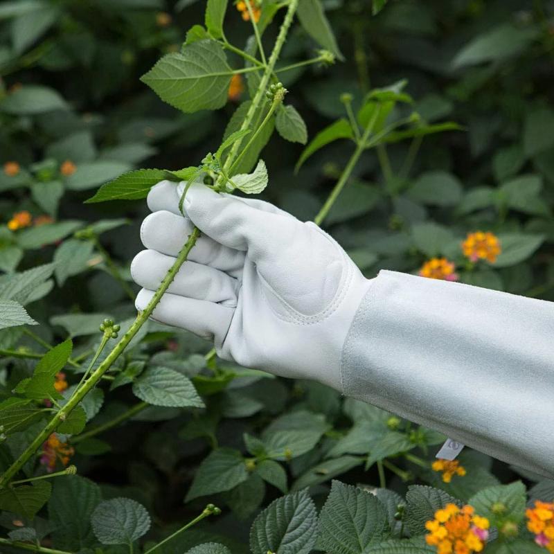 Rose Pruning Gloves