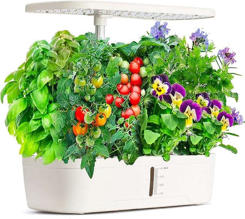 Hydroponics Plant Growing System