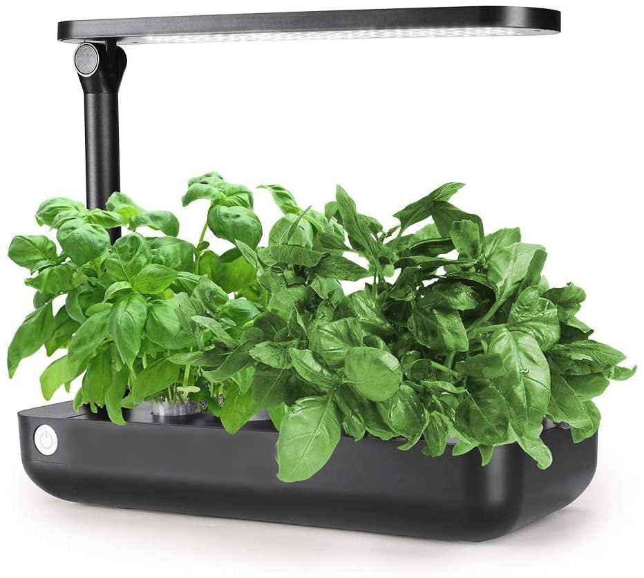 Hydroponics Plant Growing System