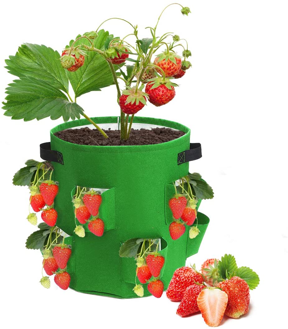 Strawberry Grow Bags