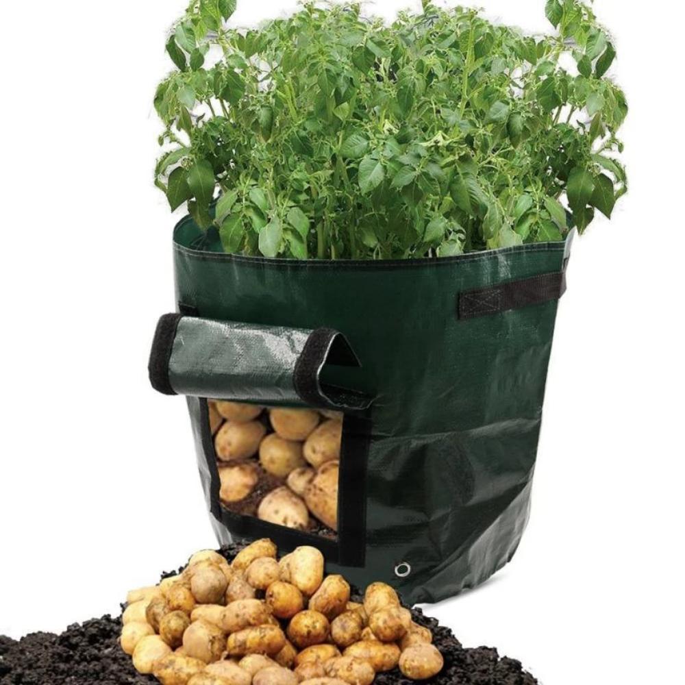 Vegetable Grow Bags