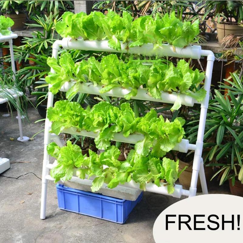 Hydroponic NFT Plant Growing System