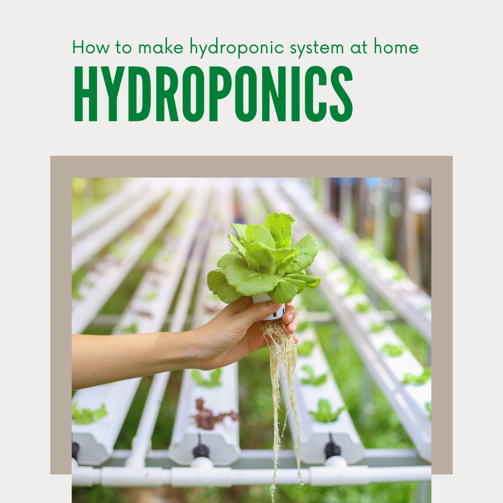 Ultimate Hydroponic & Aquaponic Gardening eBook