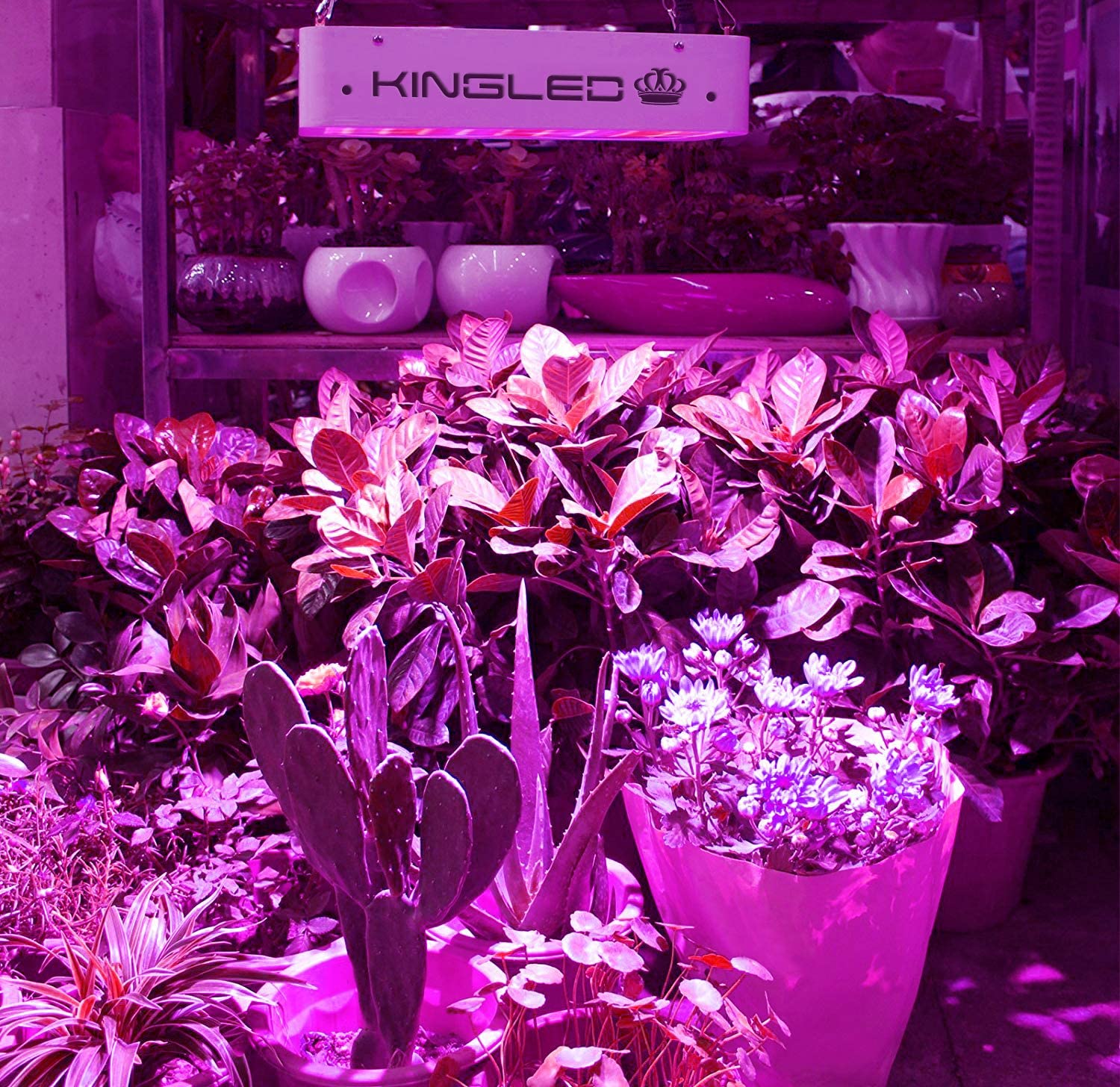 Full Spectrum LED Plant Grow Light