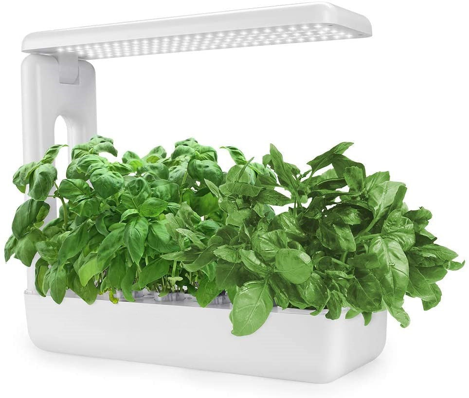 Hydroponics Plant Growing System