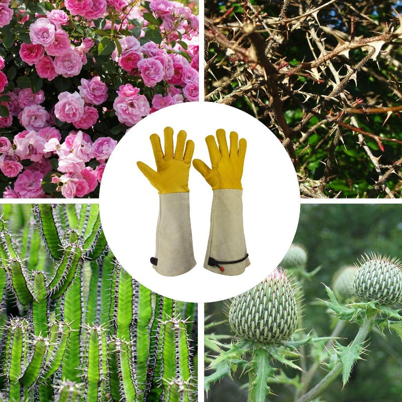 Premium Rose Pruning Gloves