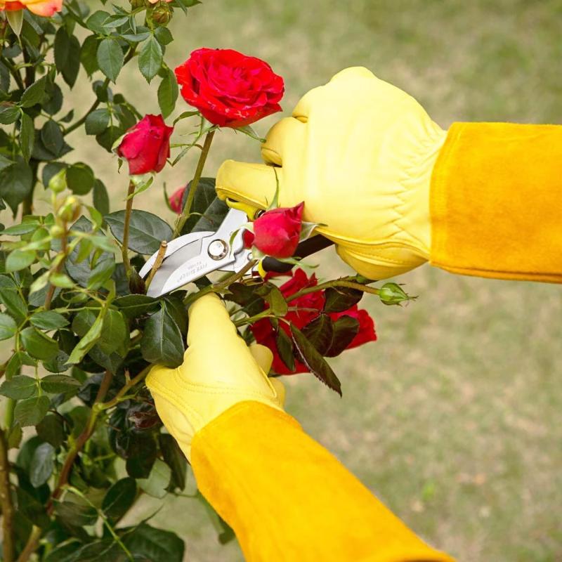 Rose Pruning Gloves