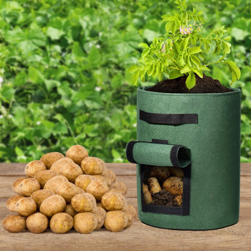 Potato Grow Bags Green