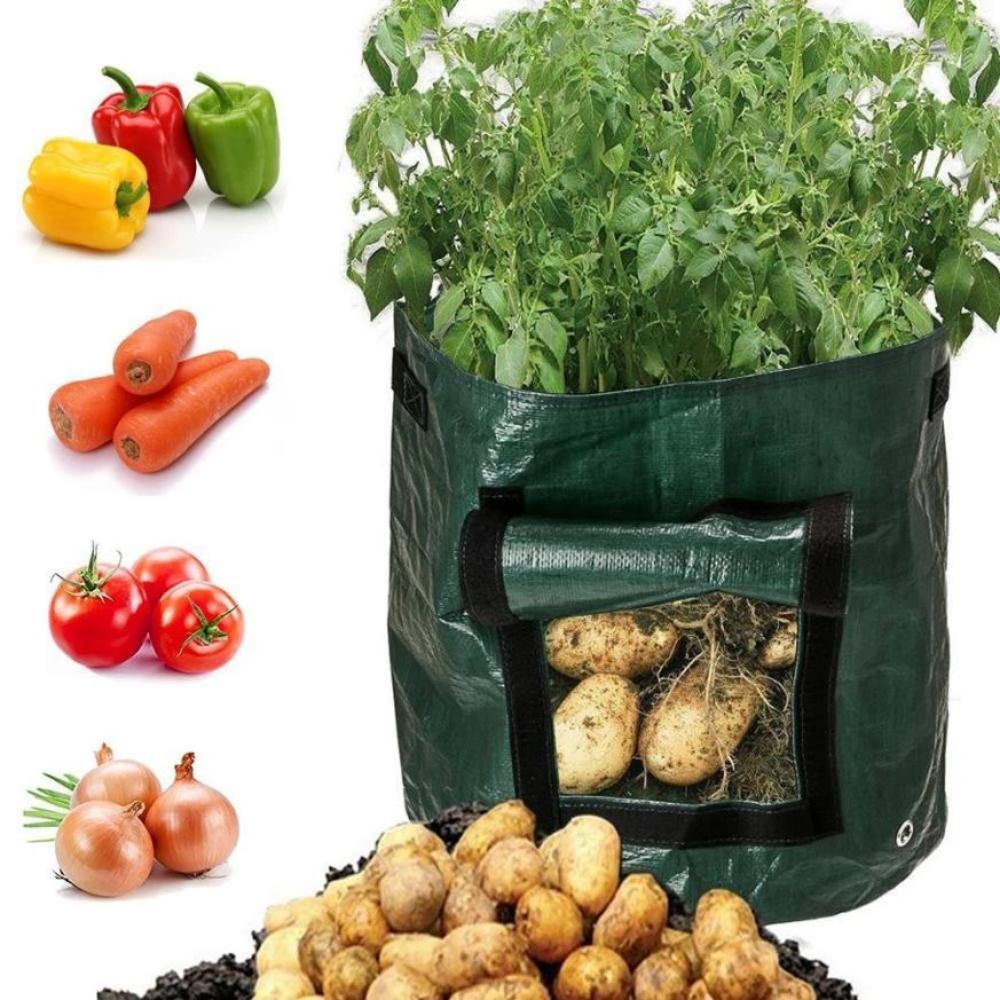 Vegetable Grow Bags