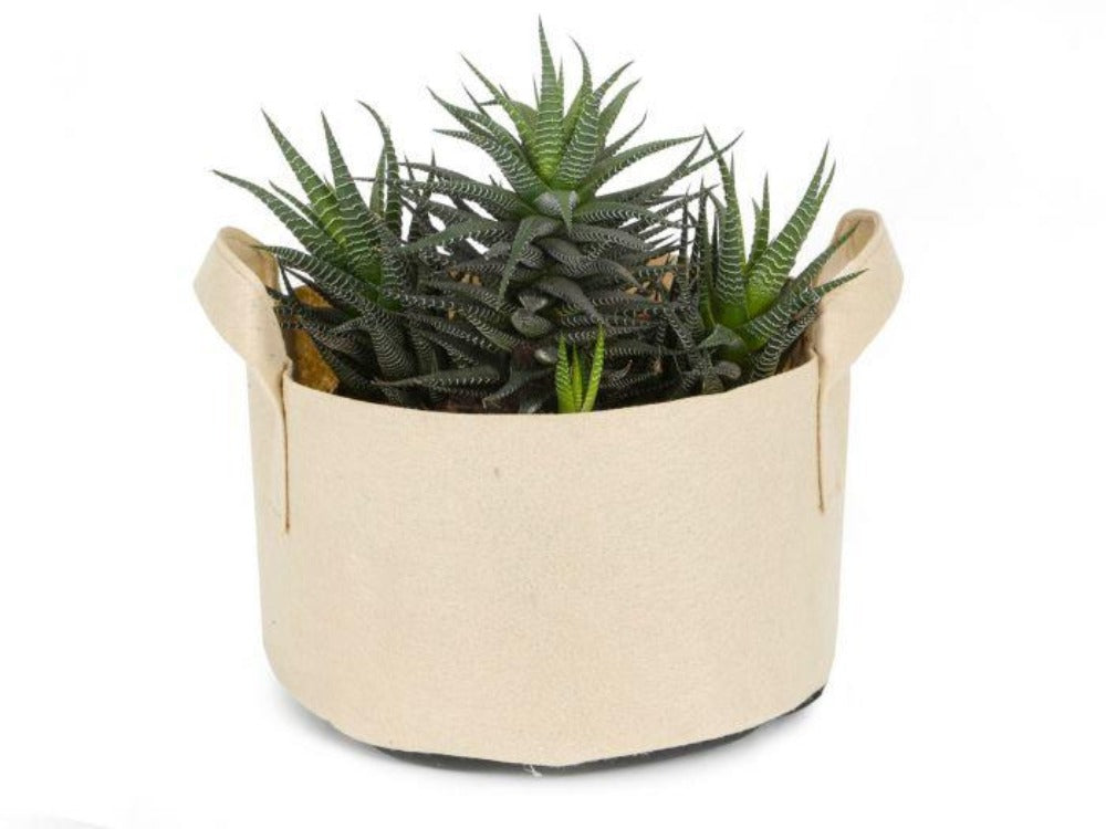 Gardening Plant Pots Tan