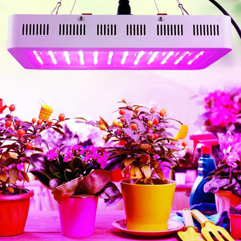 Full Spectrum LED Grow Lights