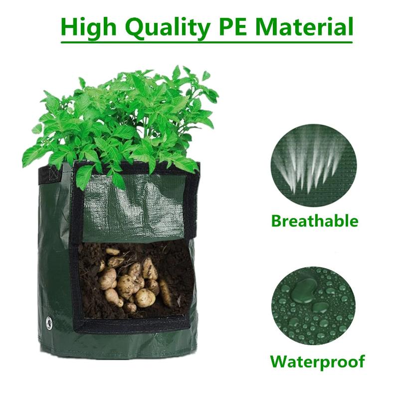 Vegetable Grow Bags