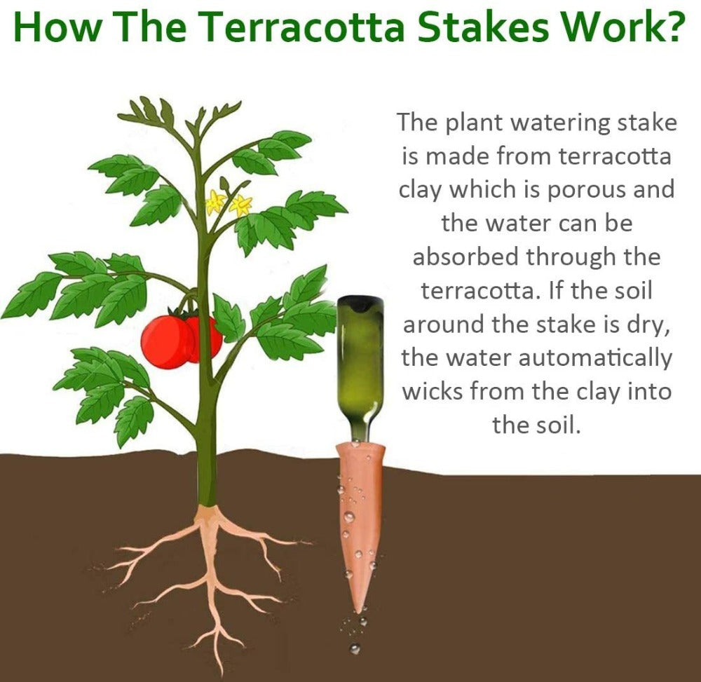 Terracotta Plant Watering Stakes