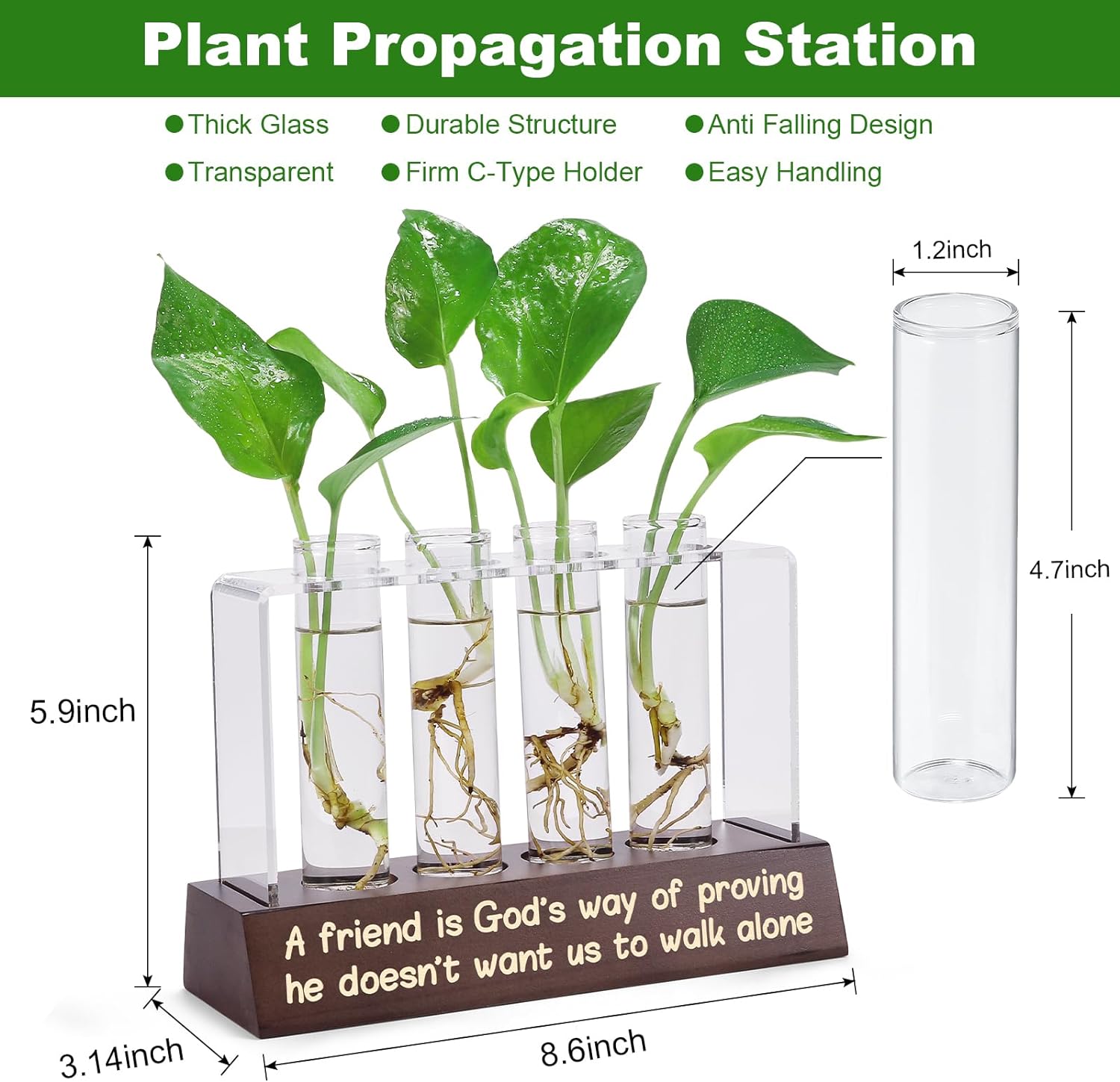 Plant Propagation Stations