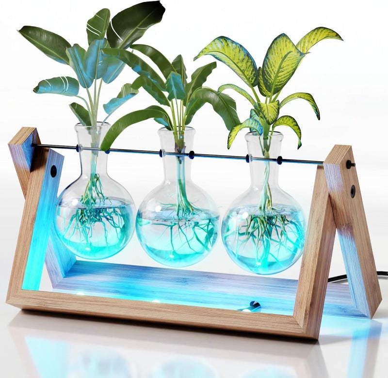 Plant Propagation Stations