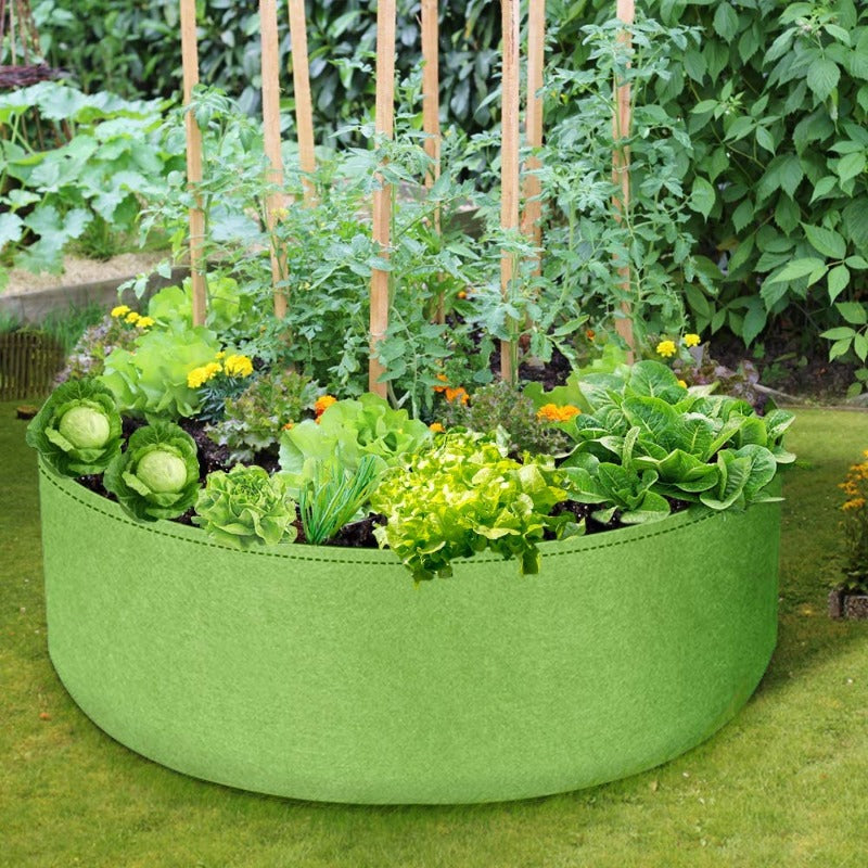 Premium Quality Raised Beds