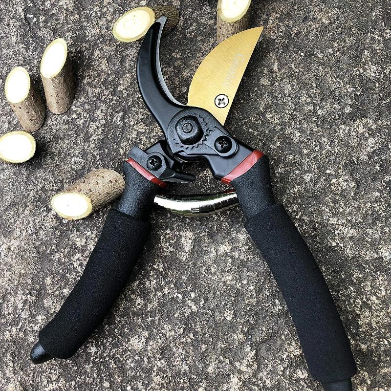 Premium Titanium Pruning Shears