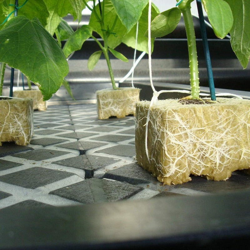 Hydroponics Rockwool Plant Starter Cubes