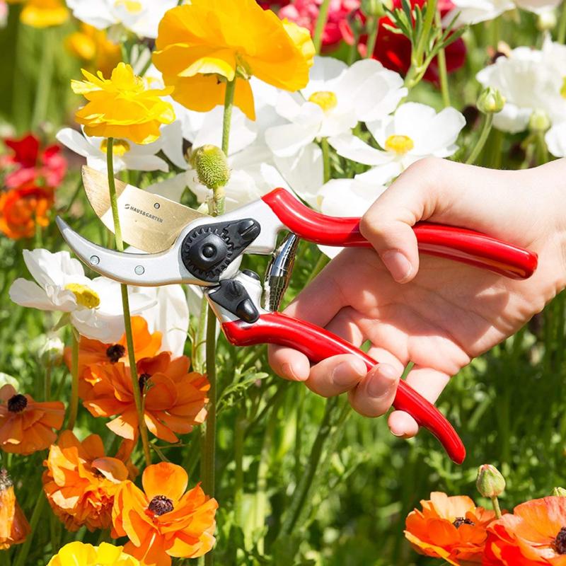 Titanium Pruning Shears