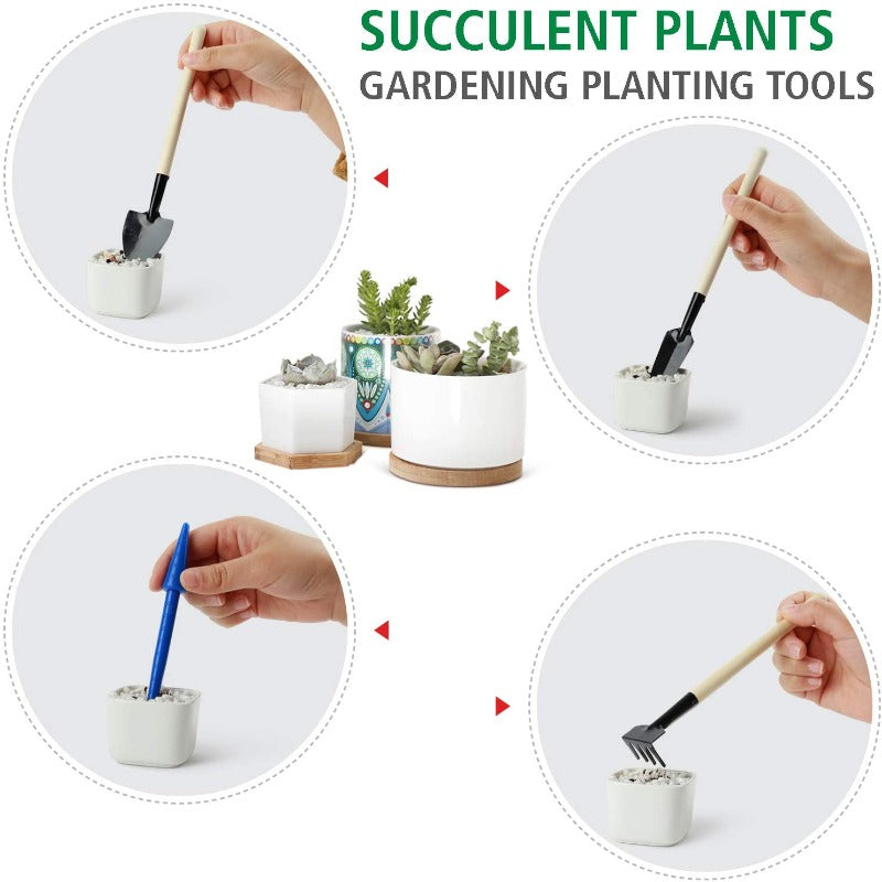 Premium Succulent Garden Tools Set