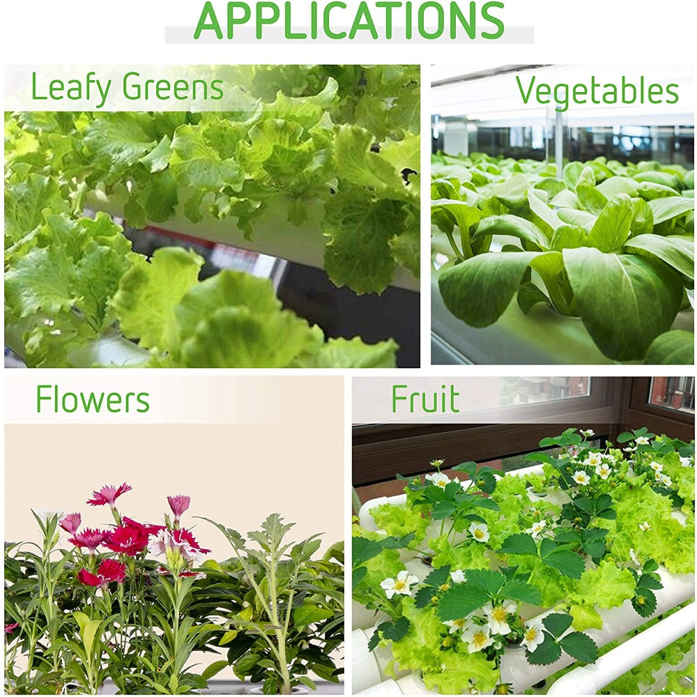 Hydroponic NFT Plant Growing System