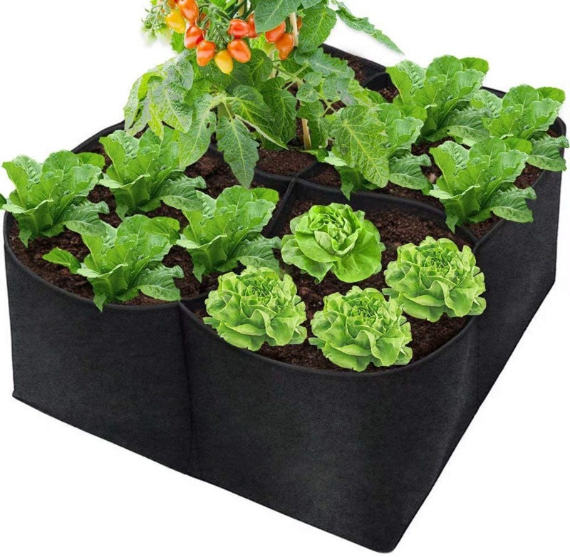 Premium Quality Raised Beds