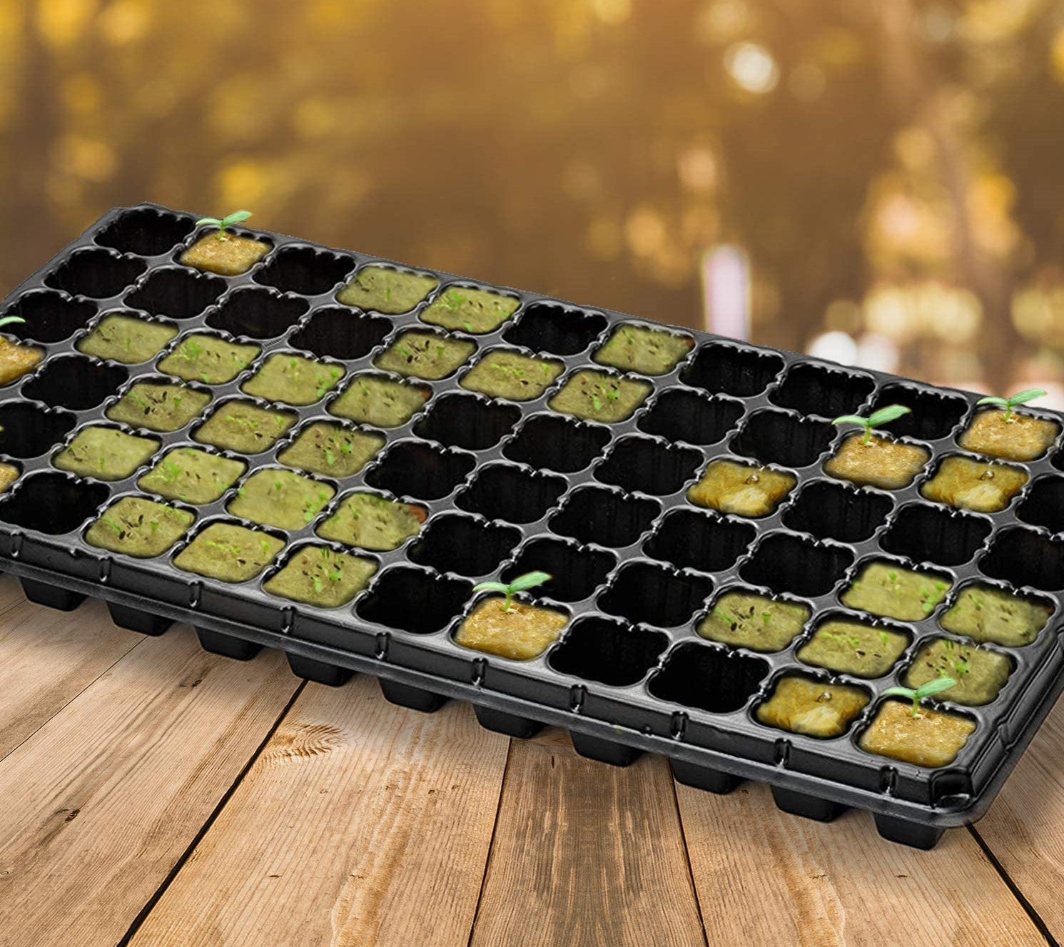 Hydroponics Rockwool Plant Starter Cubes