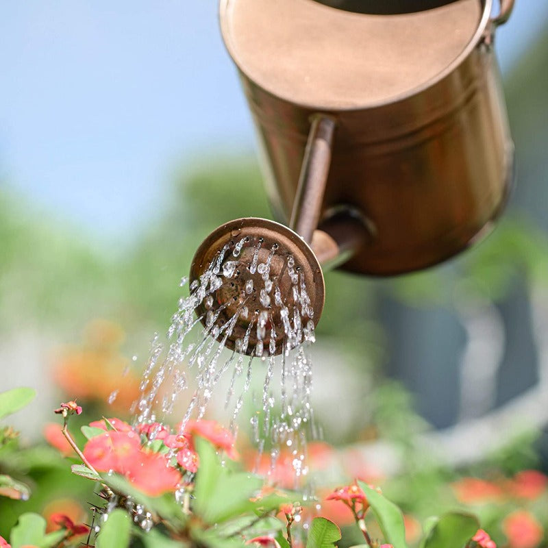 Galvanized Steel Watering Can