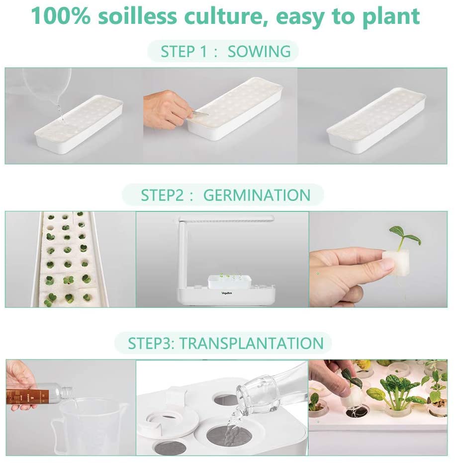 Hydroponics Plant Growing System