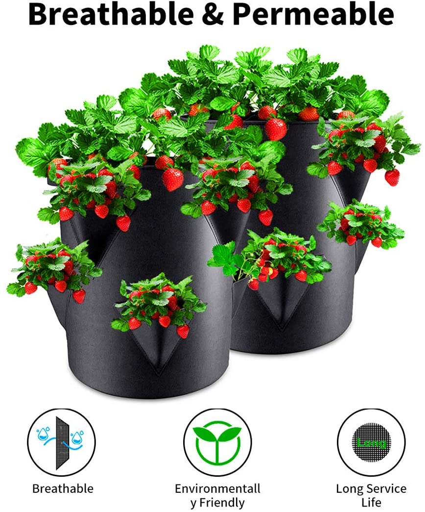 Strawberry Grow Bags