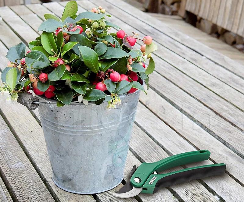 Heavy Duty Pruning Shears