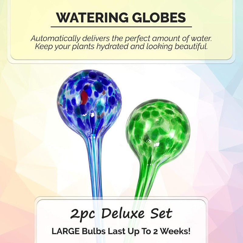 Self Watering Globes For Plants