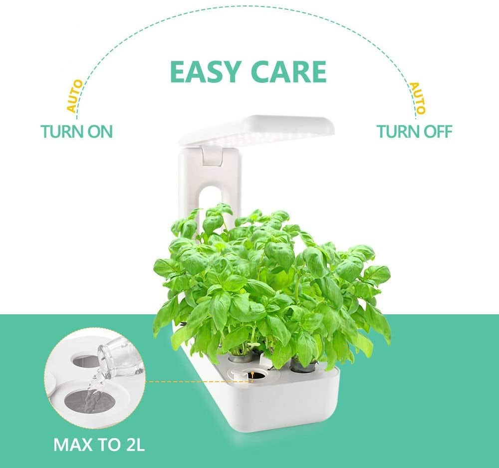 Hydroponics Plant Growing System