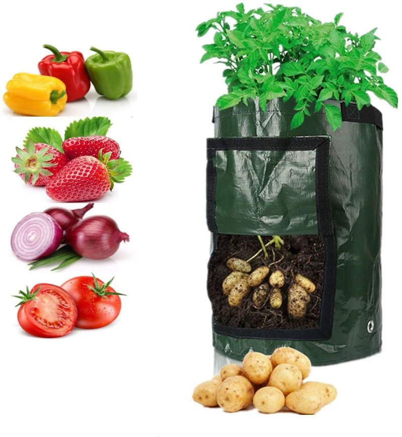 Vegetable Grow Bags