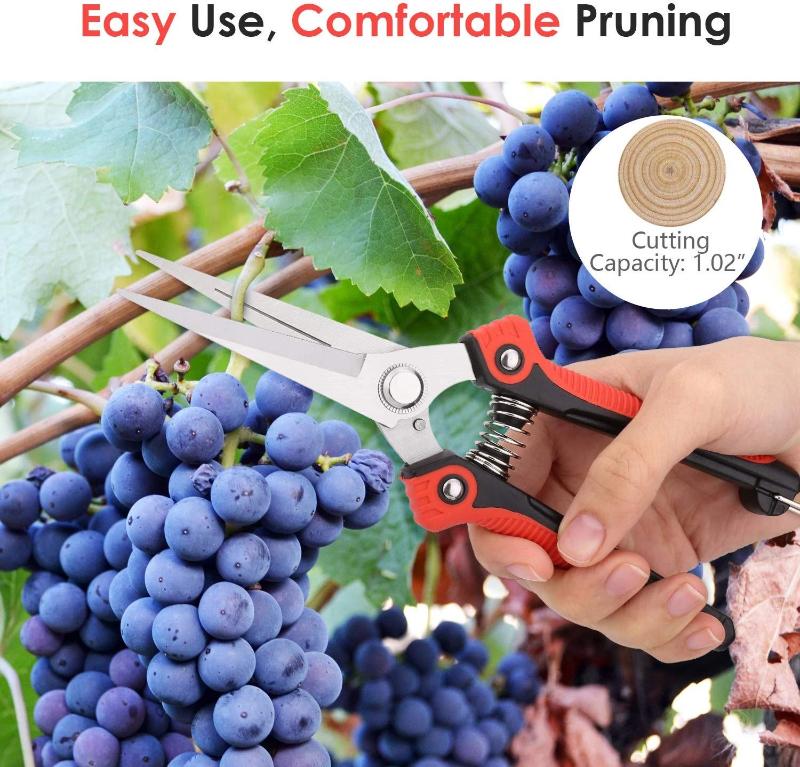 Stainless Steel Pruning Shears