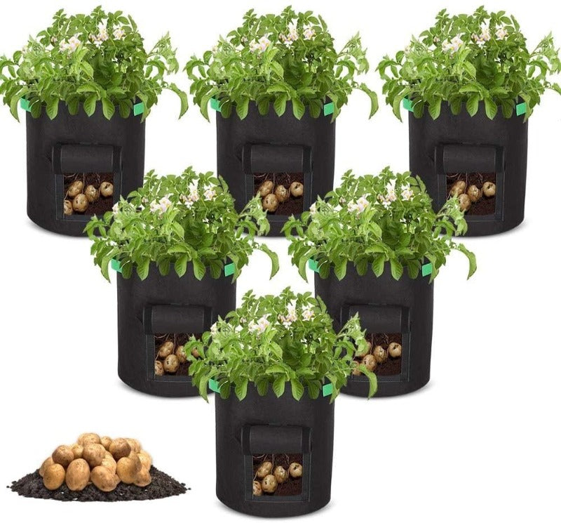 Premium Vegetable Grow Bags