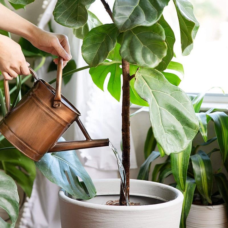 Galvanized Steel Watering Can