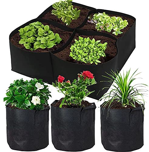 Premium Quality Raised Beds