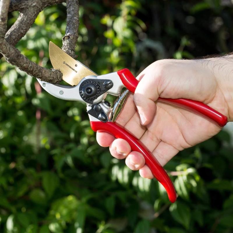 Titanium Pruning Shears