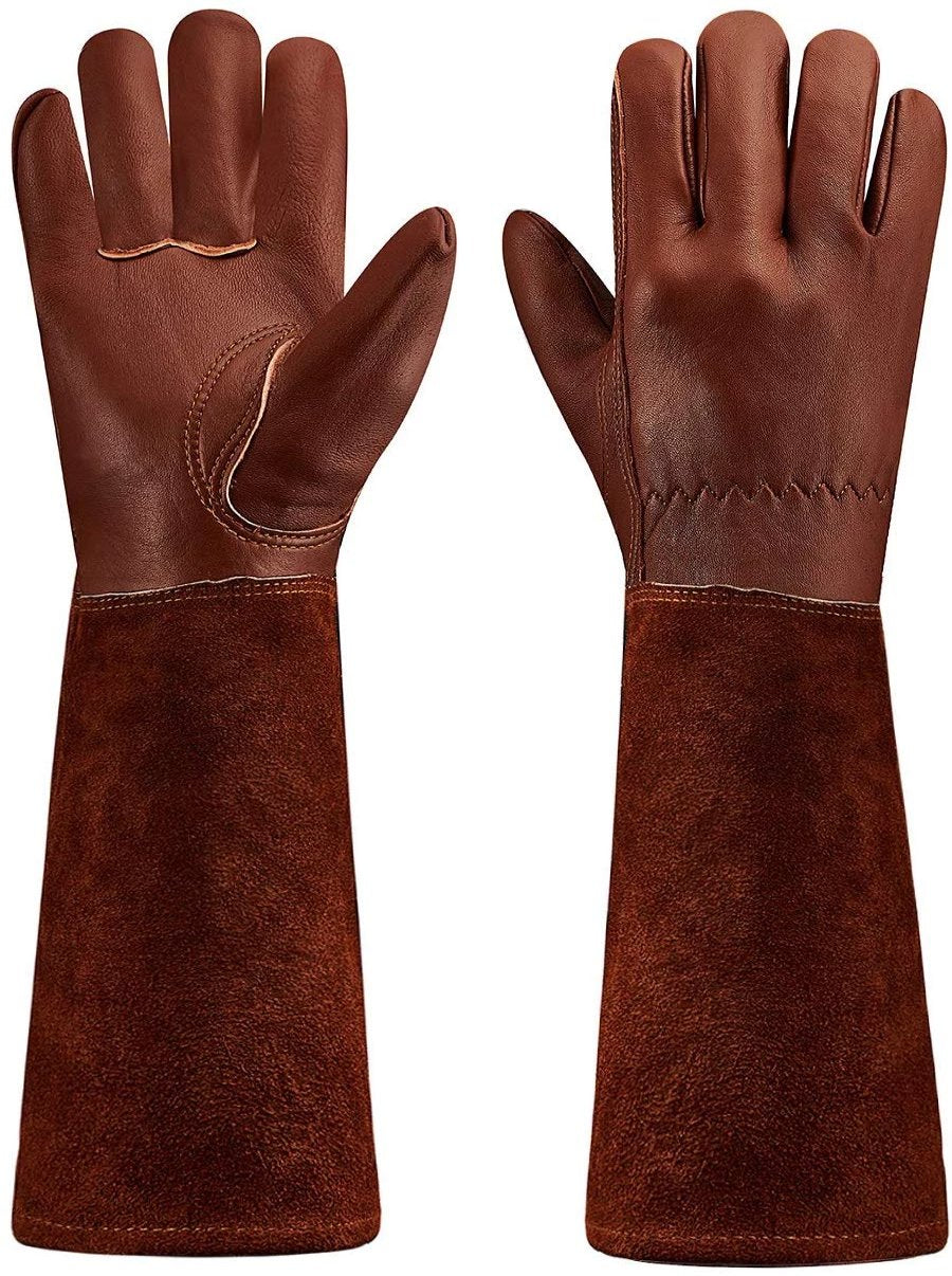 Rose Pruning Gloves