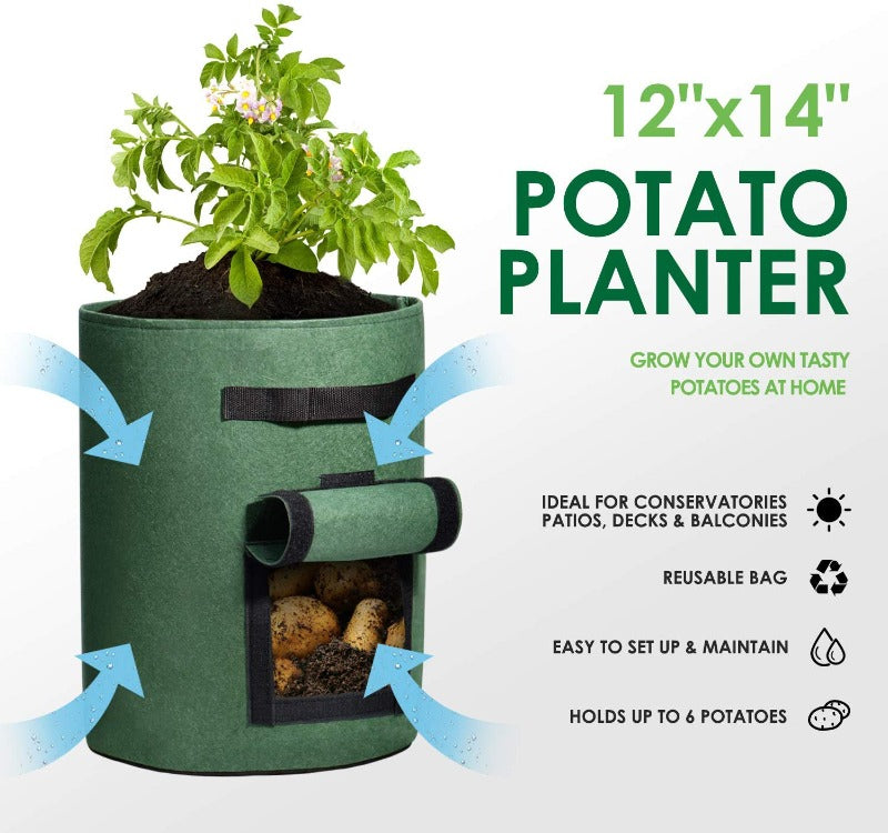 Potato Grow Bags Green