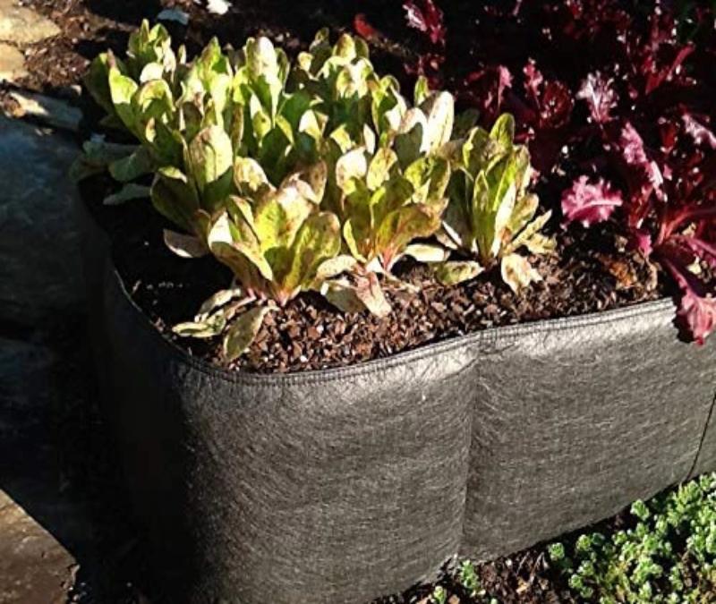 Thick Fabric Raised Garden Beds