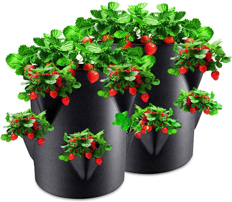 Strawberry Grow Bags