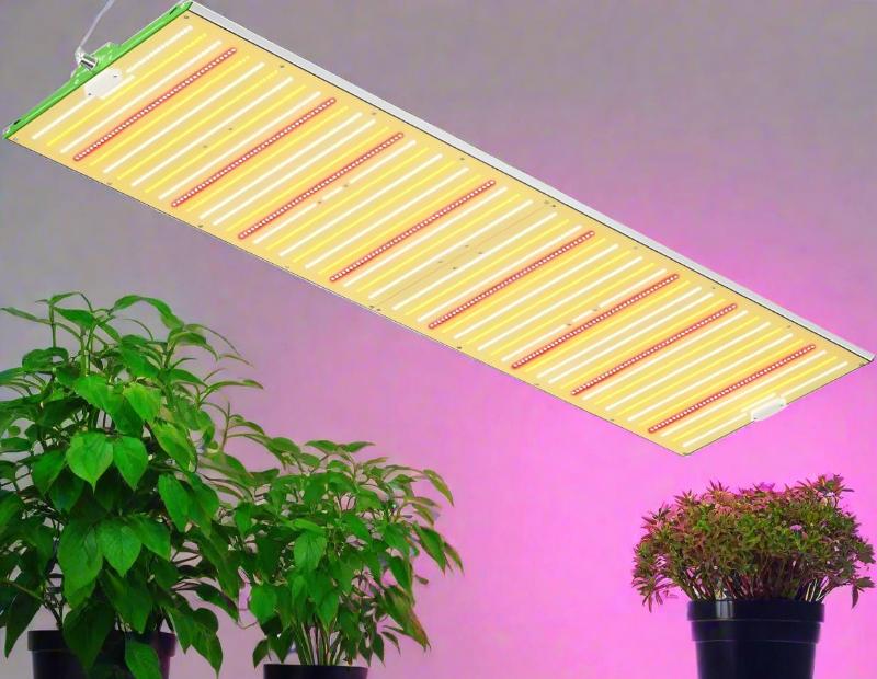 Dimmable Pro Series LED Grow Lights